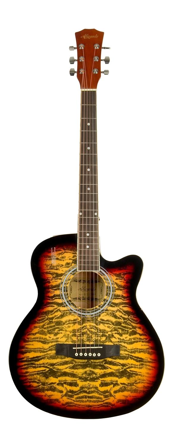 Акустическая гитара Alicanto A4040C TAS