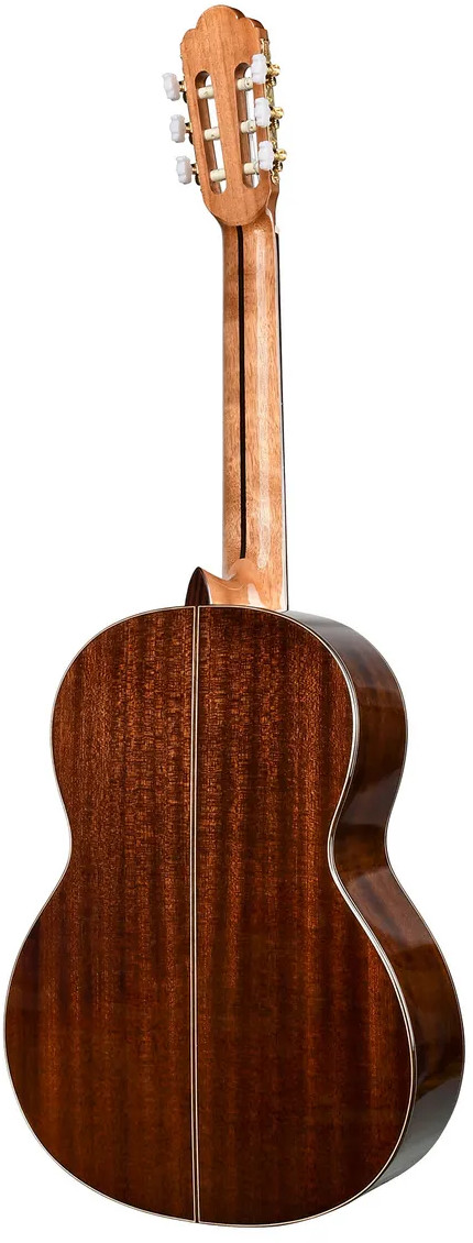 Классическая гитара TESORO TS3950