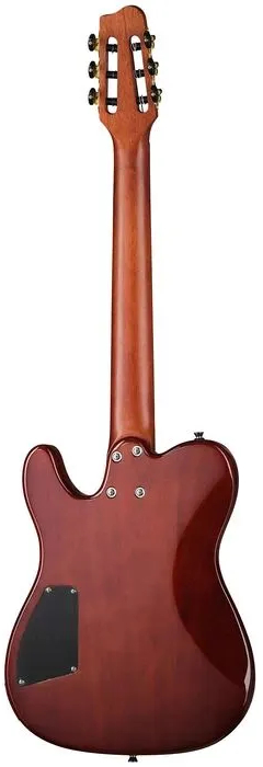Электроакустическая гитара Foix FFG-EGD-900-NT
