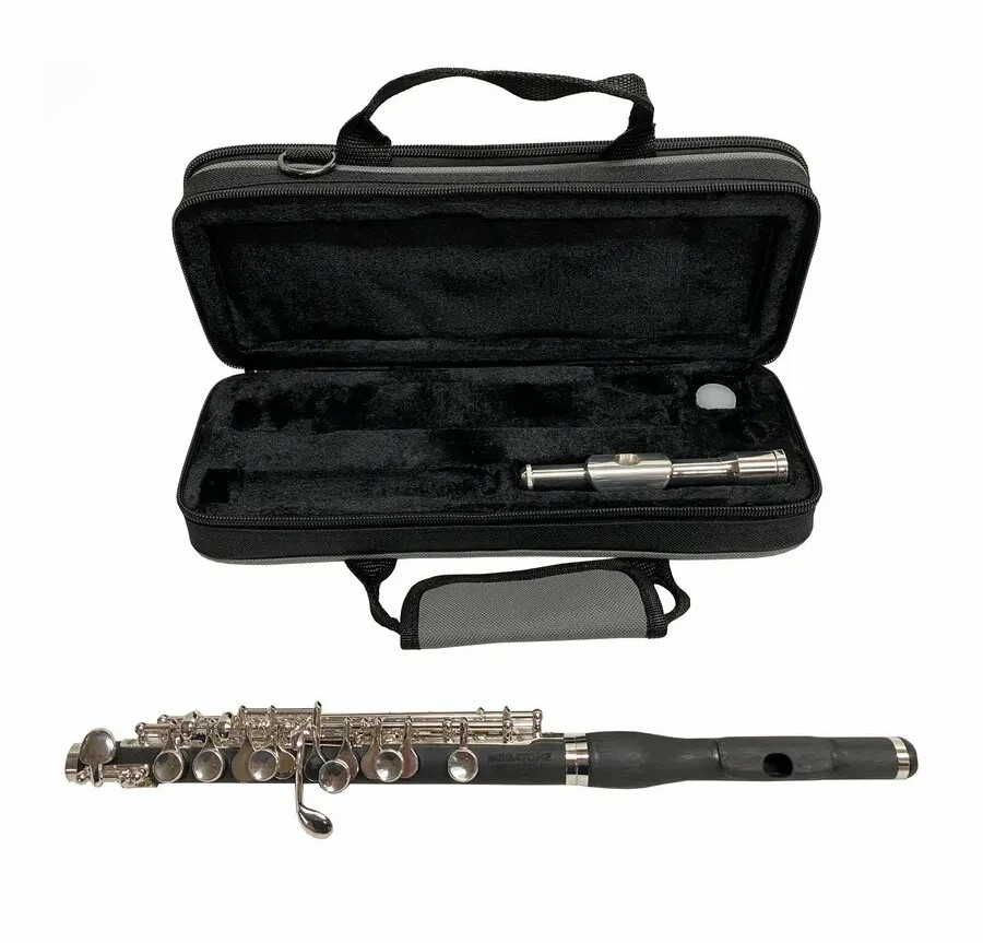 Флейта-пикколо MEGATONE MTPF-82DH