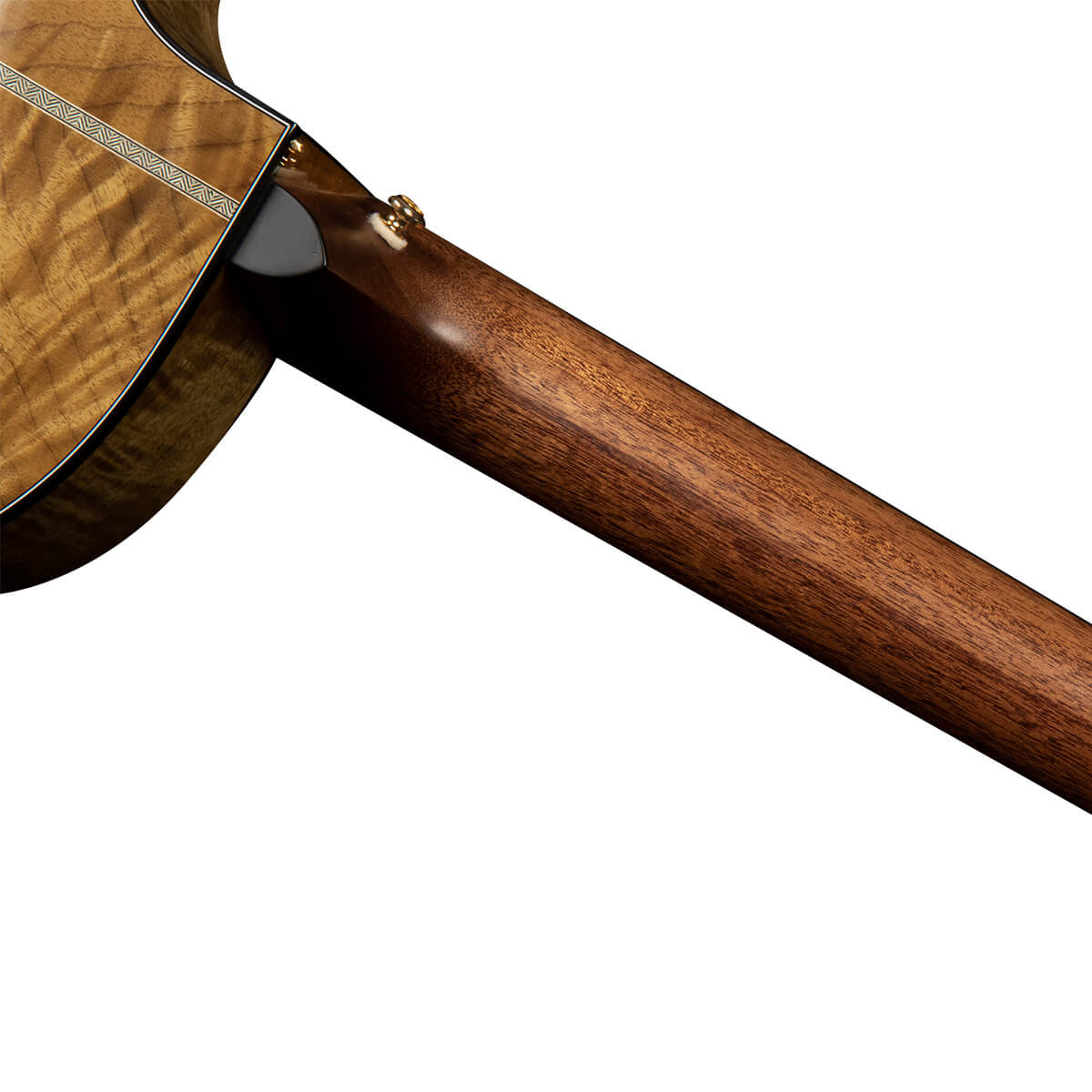 Электроакустическая гитара Cort Gold-Edge-WCASE-NAT