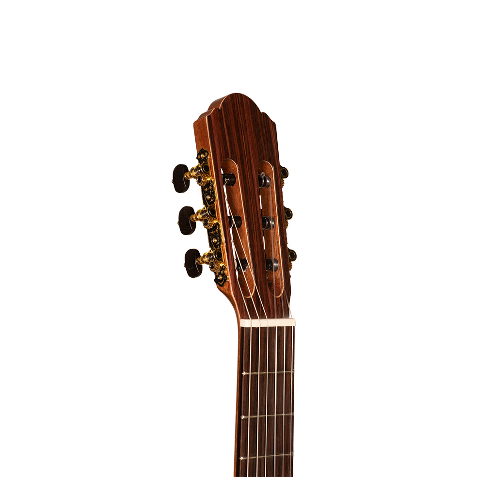 Классическая гитара Hora SM601