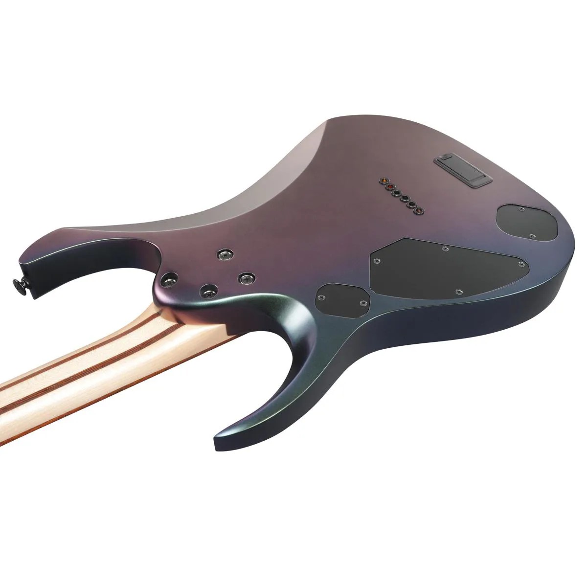 Электрогитара IBANEZ RGD3121-PRF Polar Lights Flat with Case