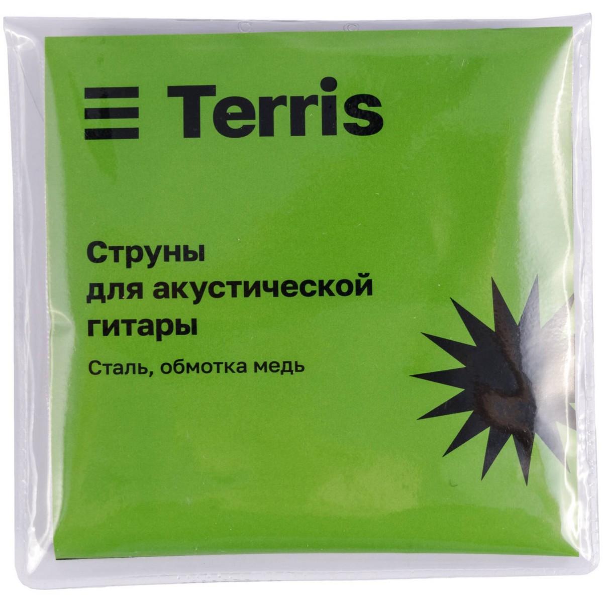 Акустическая гитара комплект TERRIS TD-041 BK Starter Pack