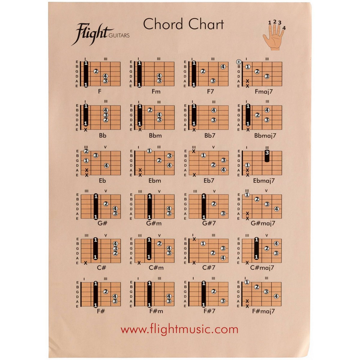 Классическая гитара FLIGHT C-120 SB PACK