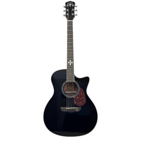 Акустическая гитара BULLFIGHTER D2XA Black With bag