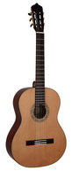 Классическая гитара Dowina Rustica (555) CL