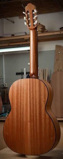 Классическая гитара Newtone LANTANA CLSN