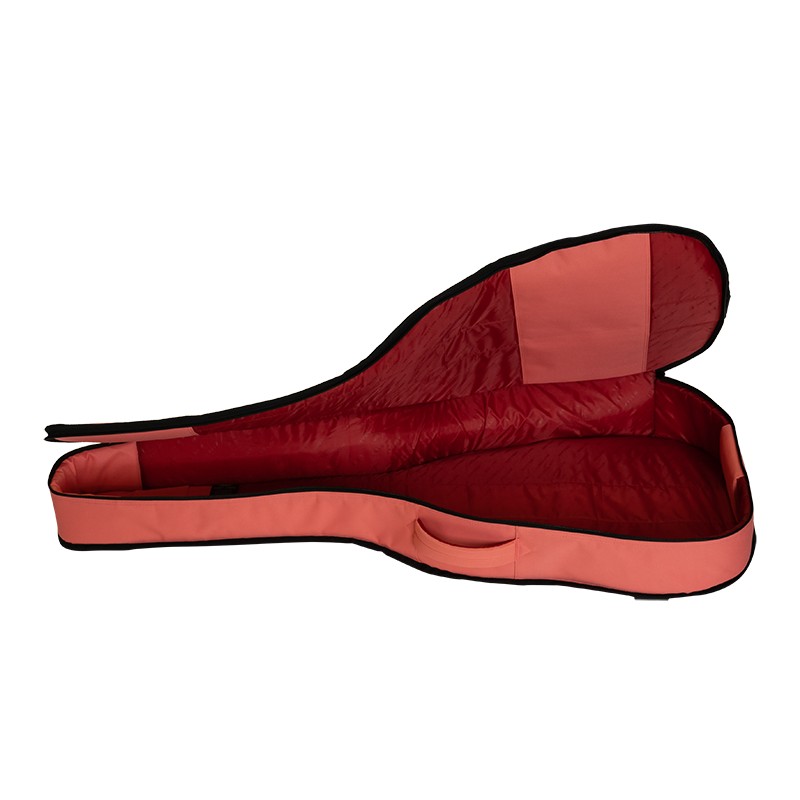 Чехол для классической гитары RITTER RGE1-C/FRO