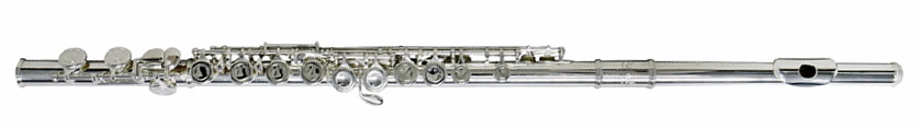 Selmer FL-710E