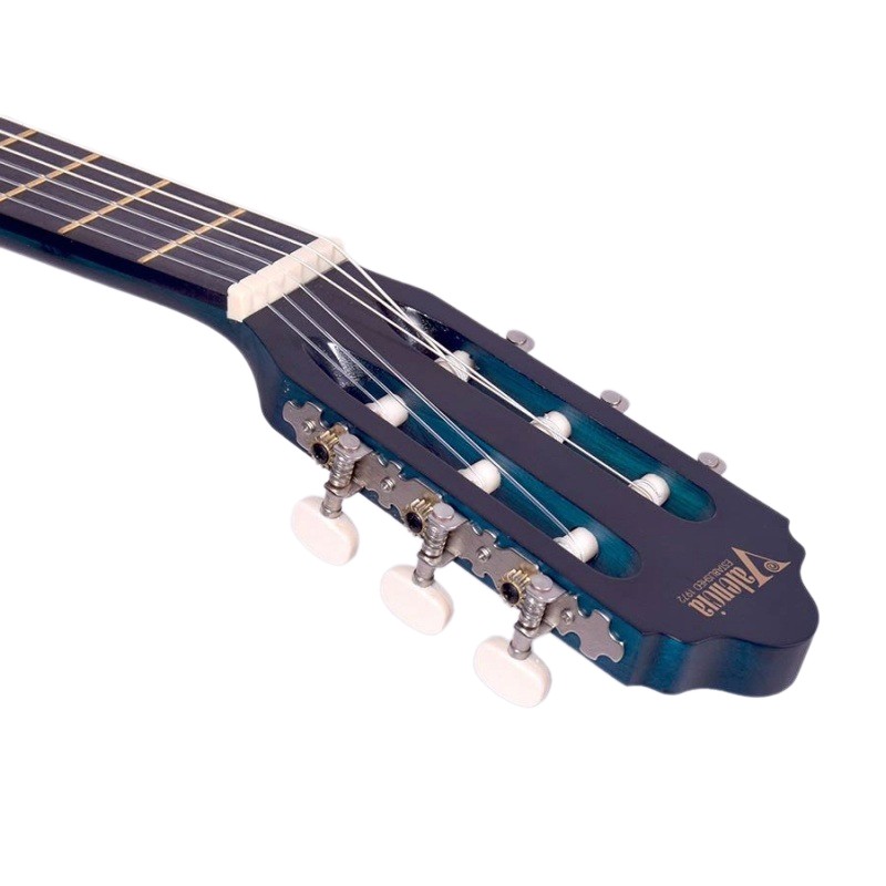 Детская гитара Valencia VC202TBU