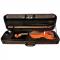 Скрипка O.M. Monnich Violin Outfit 1/8
