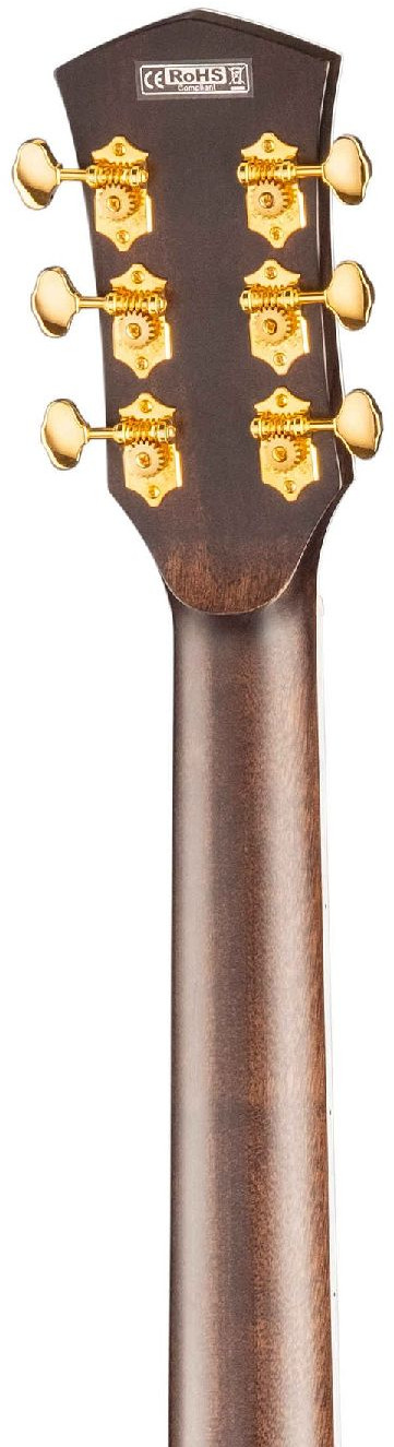 Электроакустическая гитара Cort Gold-A8-WCASE-LB Gold Series