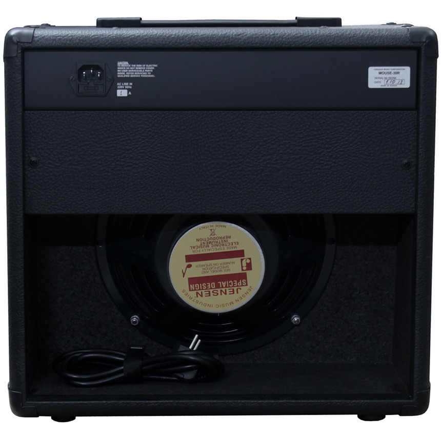 Комбоусилитель Yerasov Mouse-30R