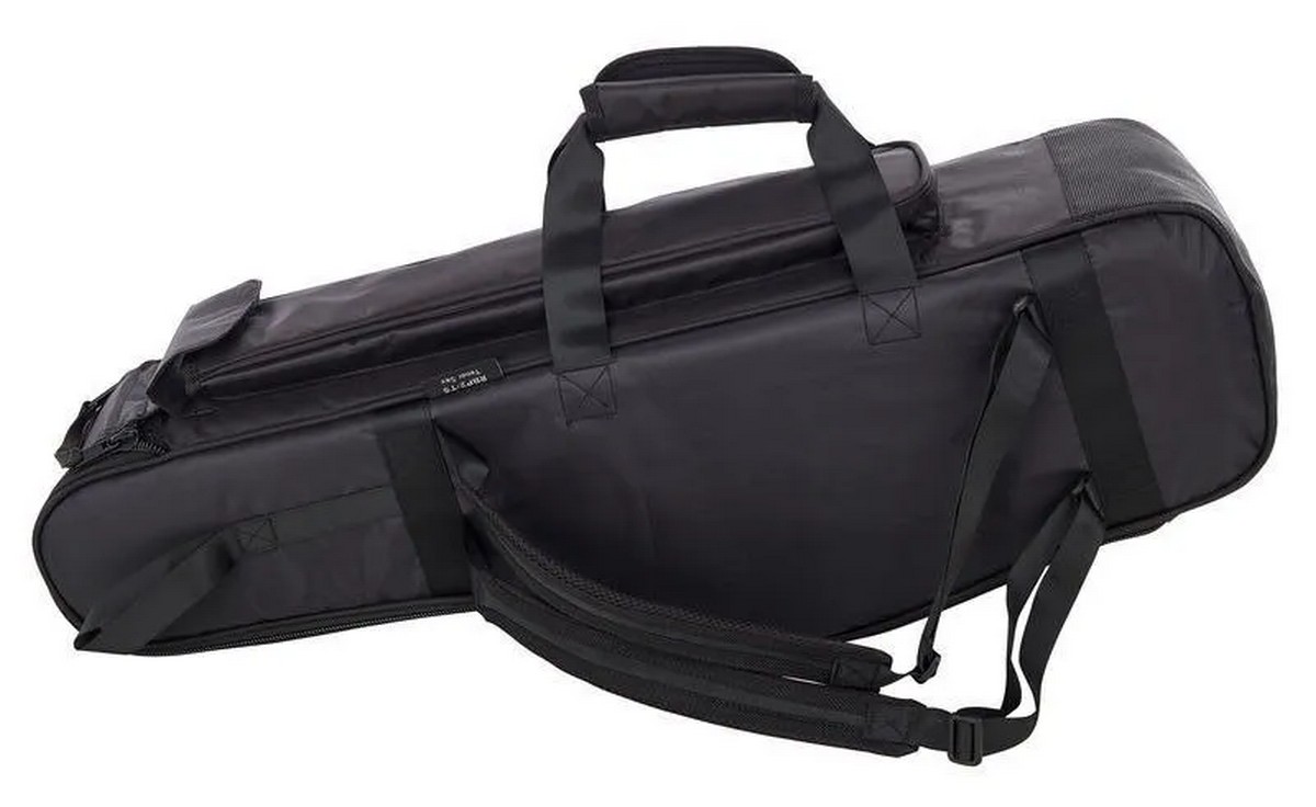 Чехол для саксофона альт RITTER RBP2-AS/BLW