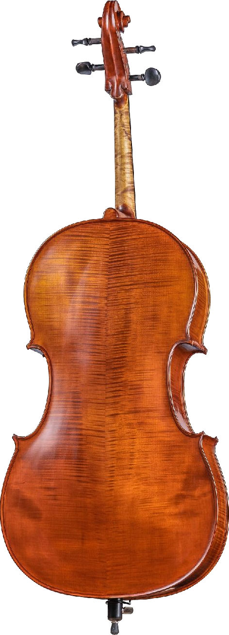 Виолончель Gliga AW-C044 Workshop Gems 1