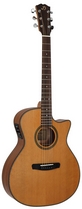 Акустическая гитара Dowina GACE 555