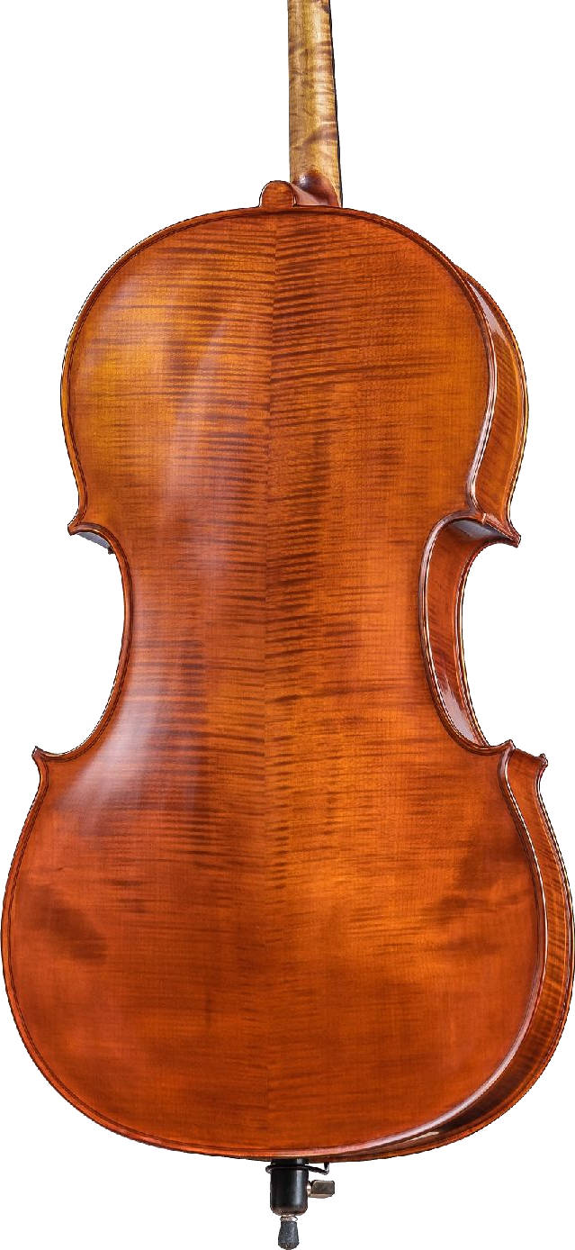 Виолончель Gliga AW-C044 Workshop Gems 1