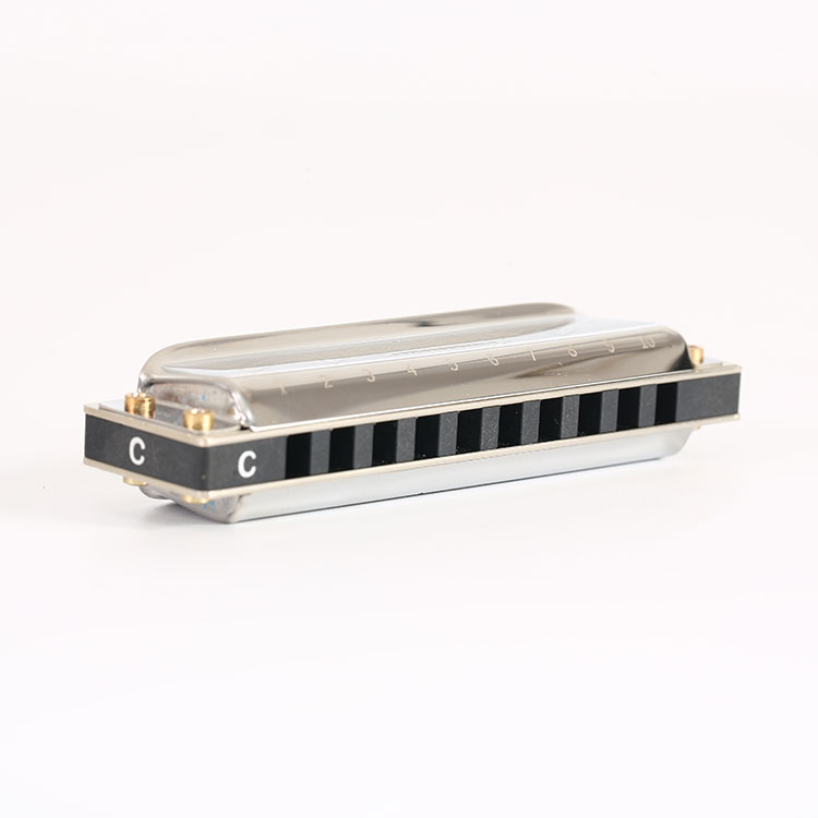 Губная гармошка EASTTOP PRO60 C