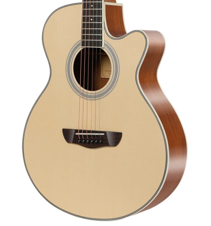 Акустическая гитара BULLFIGHTER D-4016 With bag, Natural