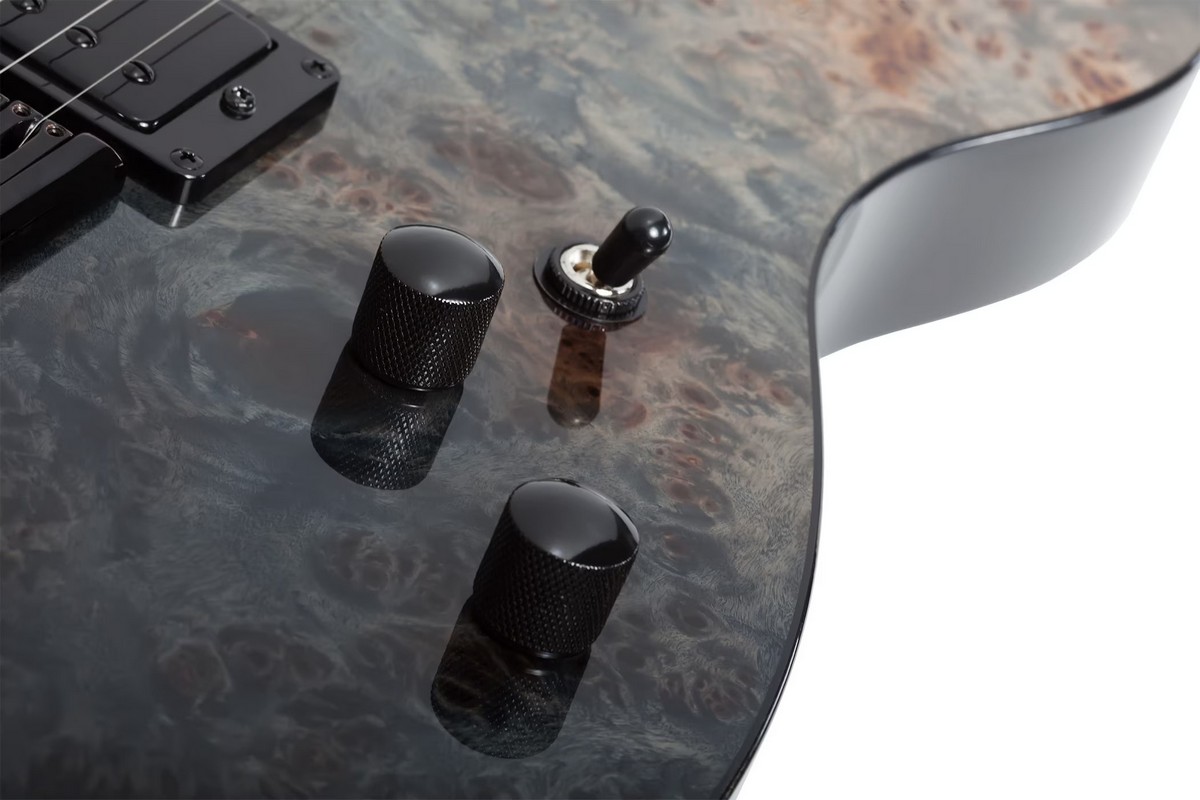 Электрогитара Schecter PT STANDARD BFBB