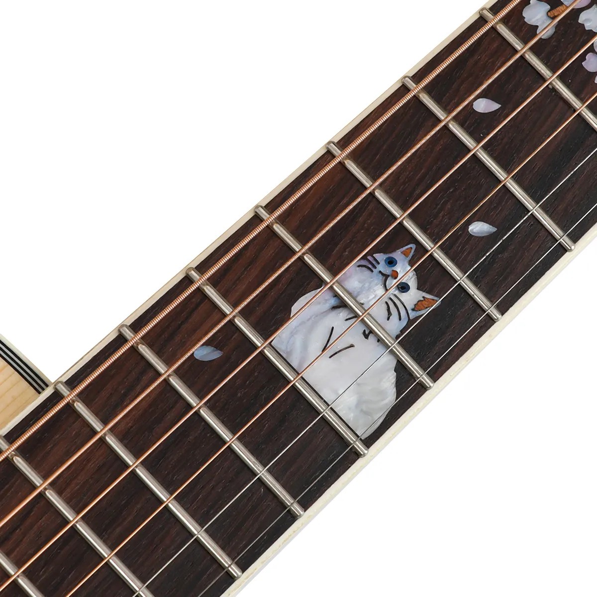 Акустическая гитара BULLFIGHTER D5C NA