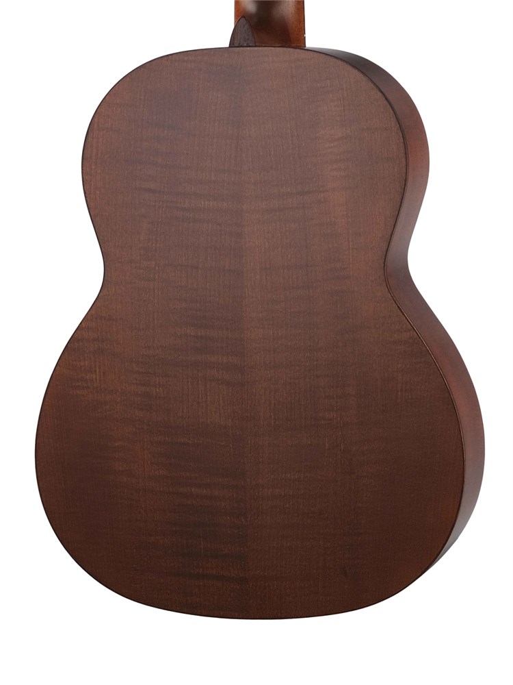 Классическая гитара Newtone SCLSCTNT Silena