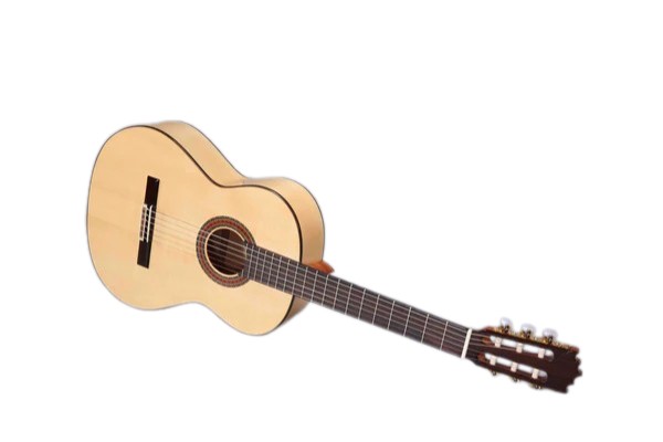 Фламенко гитара ALTAMIRA N300F