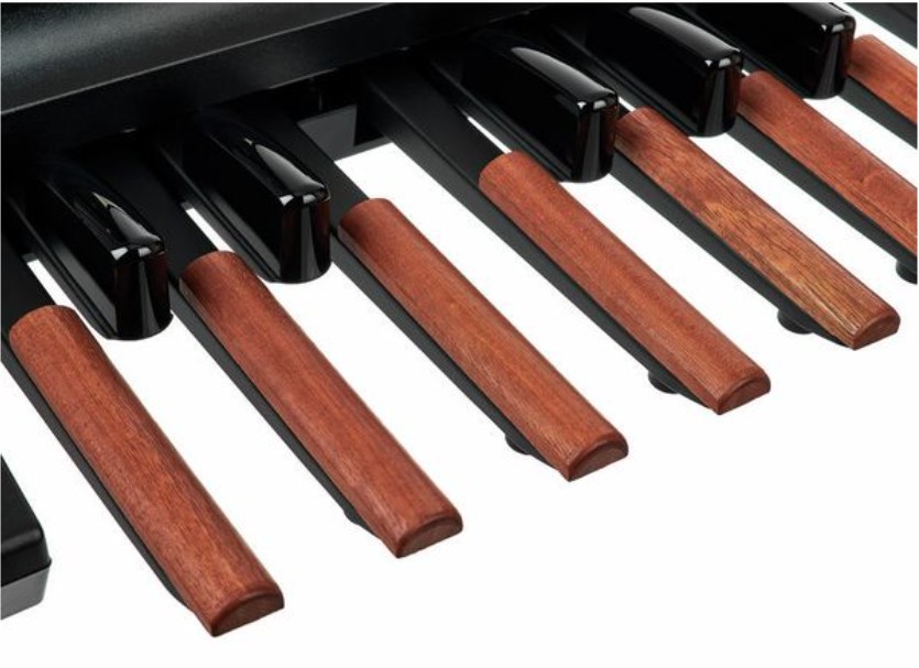 MIDI контроллер Studiologic Midi Pedalboard MP113