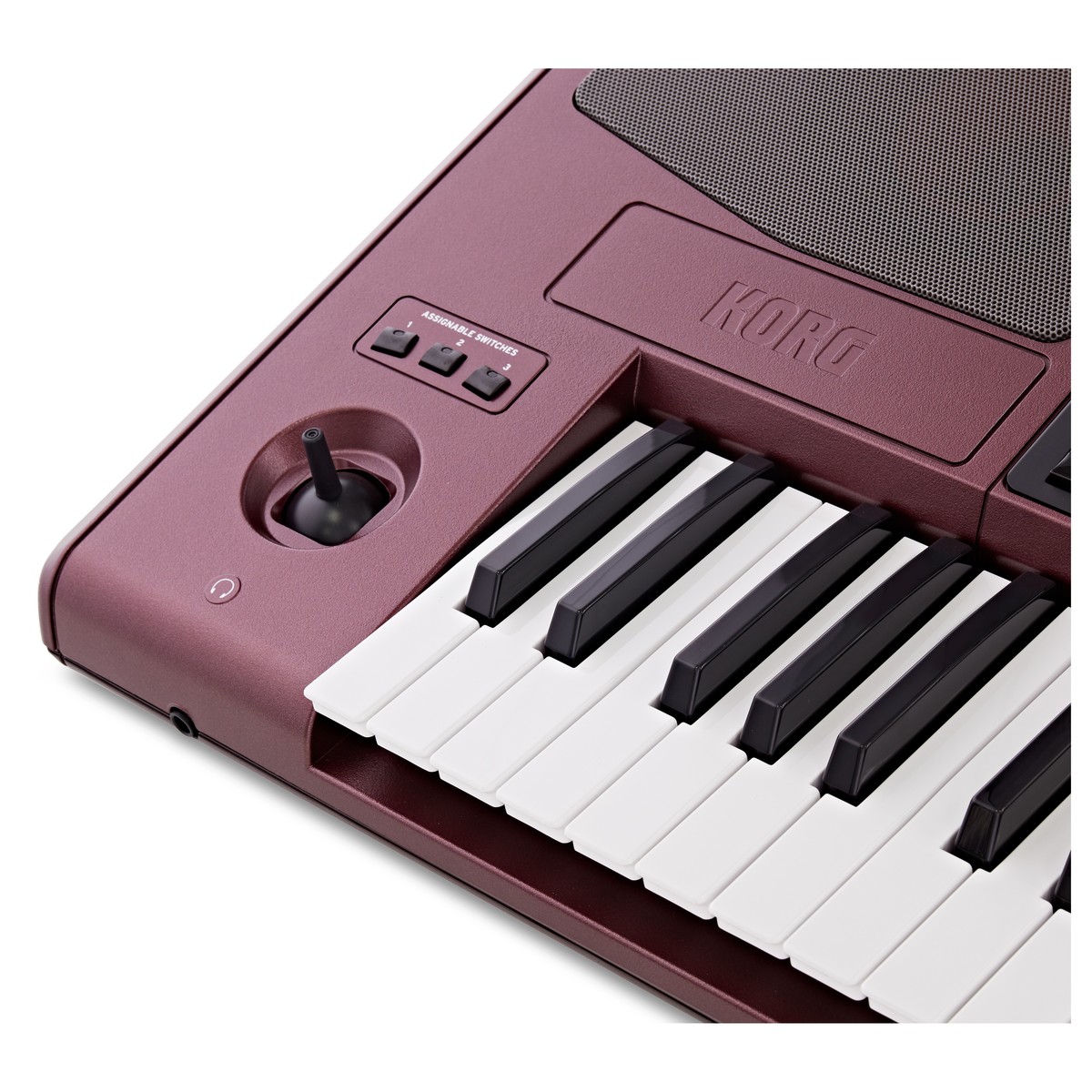 Рабочая станция Korg PA1000