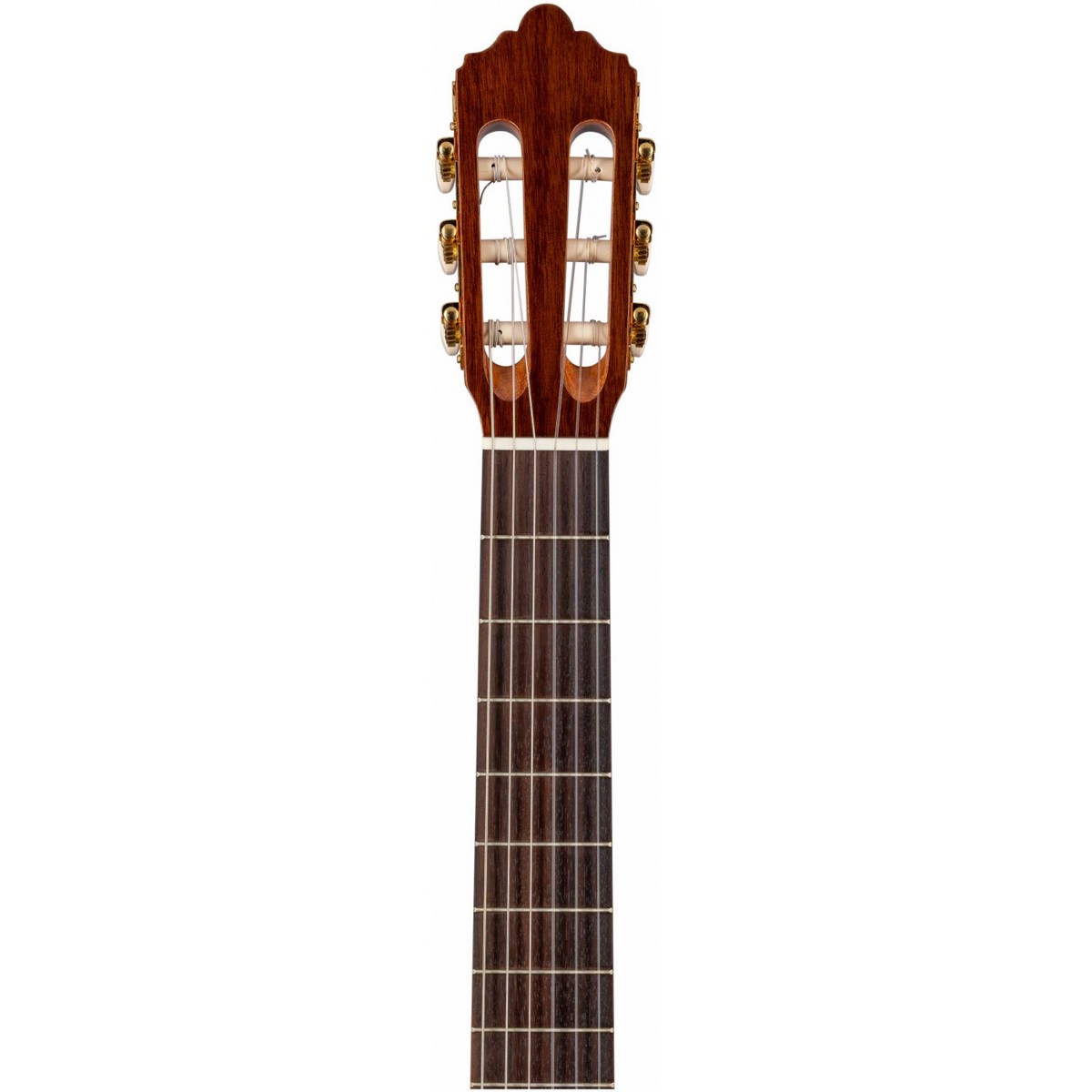 Классическая гитара ALTAMIRA N200S+