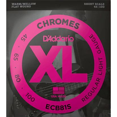 Струны для бас-гитары D'Addario ECB81S