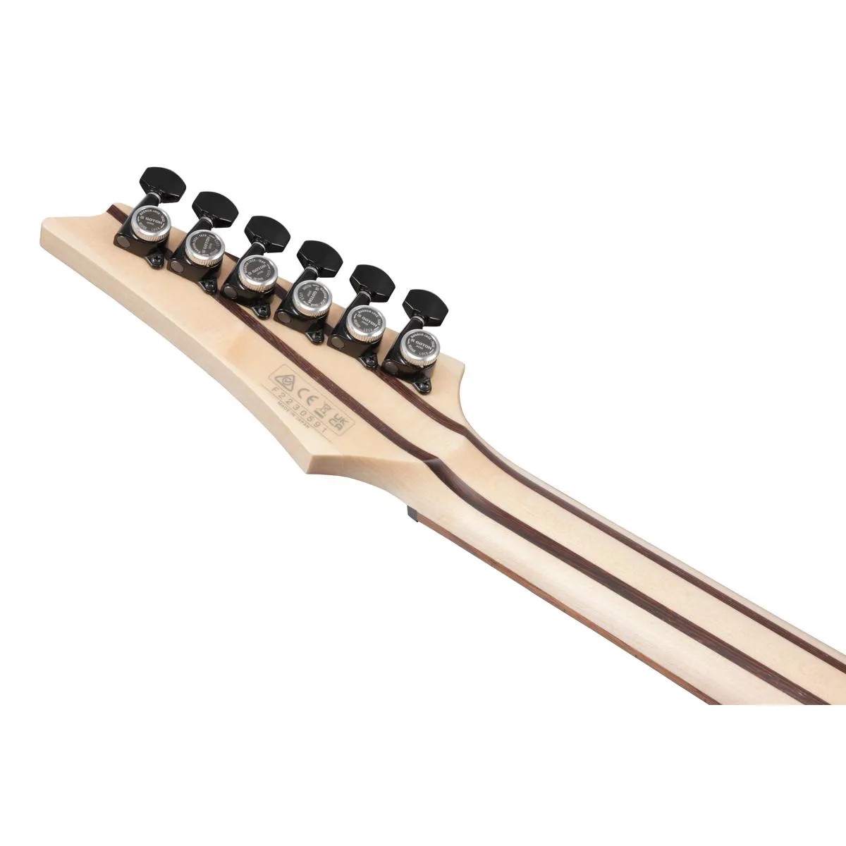 Электрогитара IBANEZ RGD3121-PRF Polar Lights Flat with Case