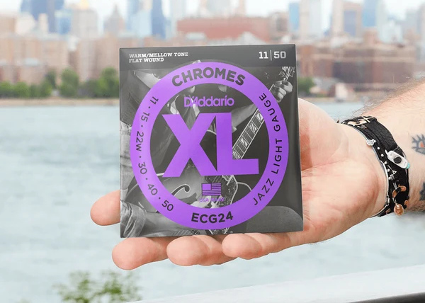 Струны для электрогитары D'Addario ECG24