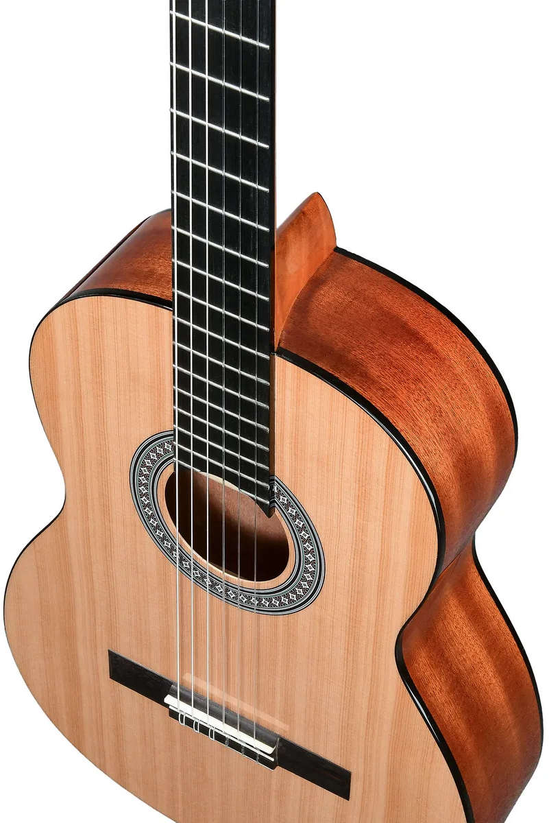 Классическая гитара TESORO TS3940