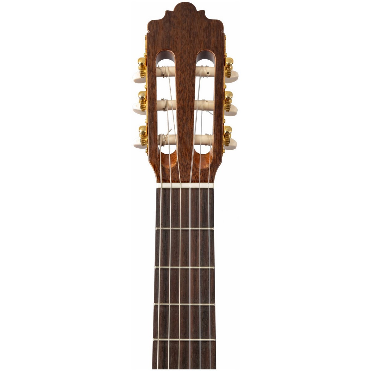 Классическая гитара ALTAMIRA N100+