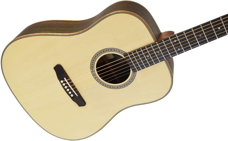 Акустическая гитара Dowina D999S-LE