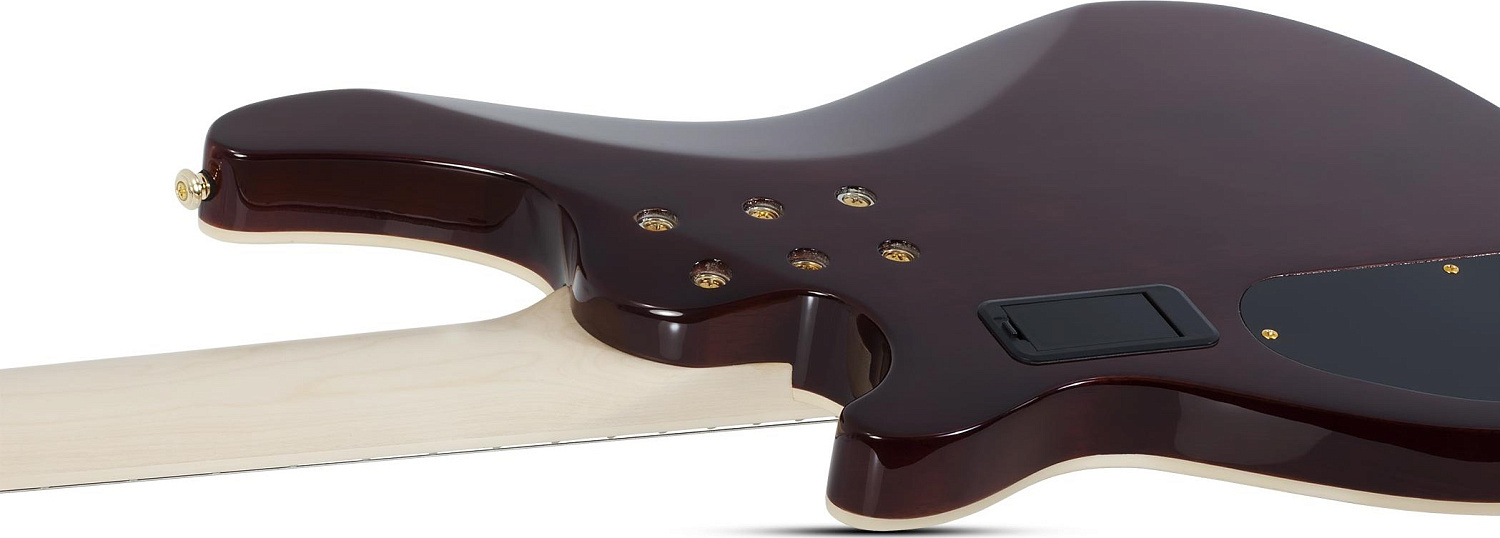 Бас-гитара Schecter OMEN EXTREME-5 GNAT
