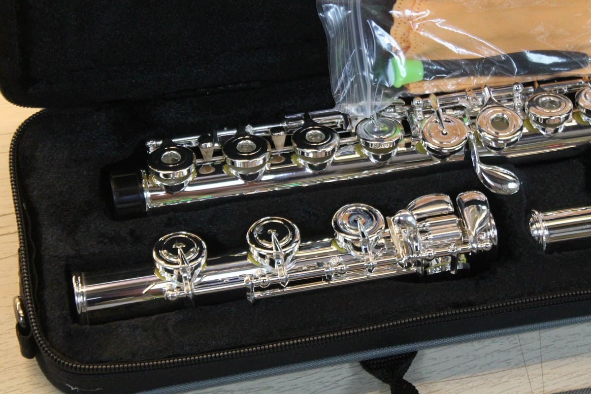 Флейта MEGATONE MTF-48SEOB