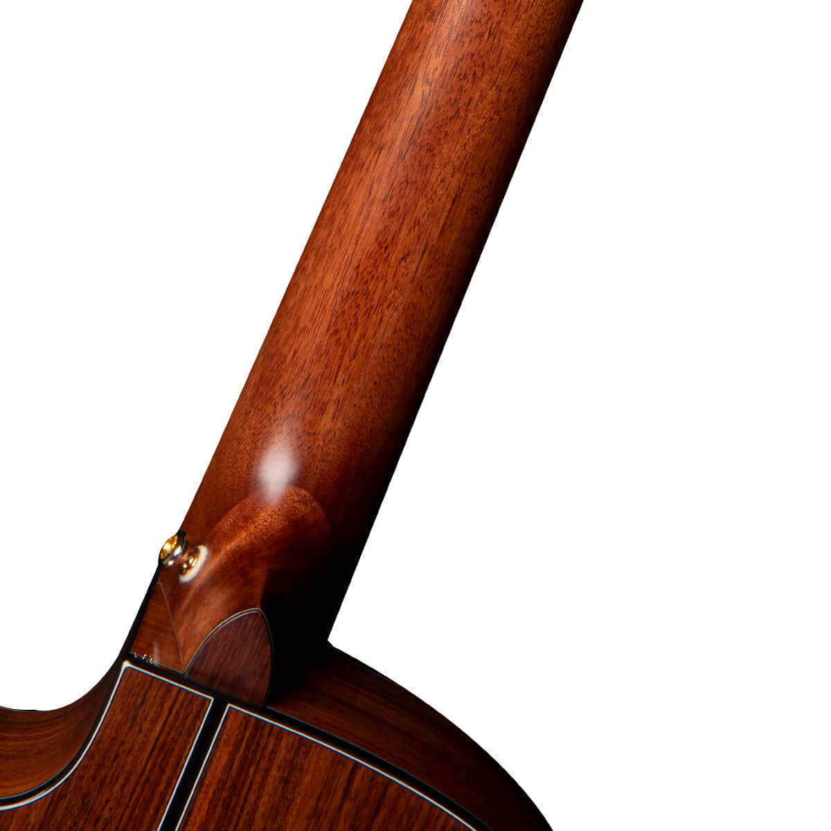 Электроклассическая гитара Cort Gold-OC8-NYLON-WCASE-NAT