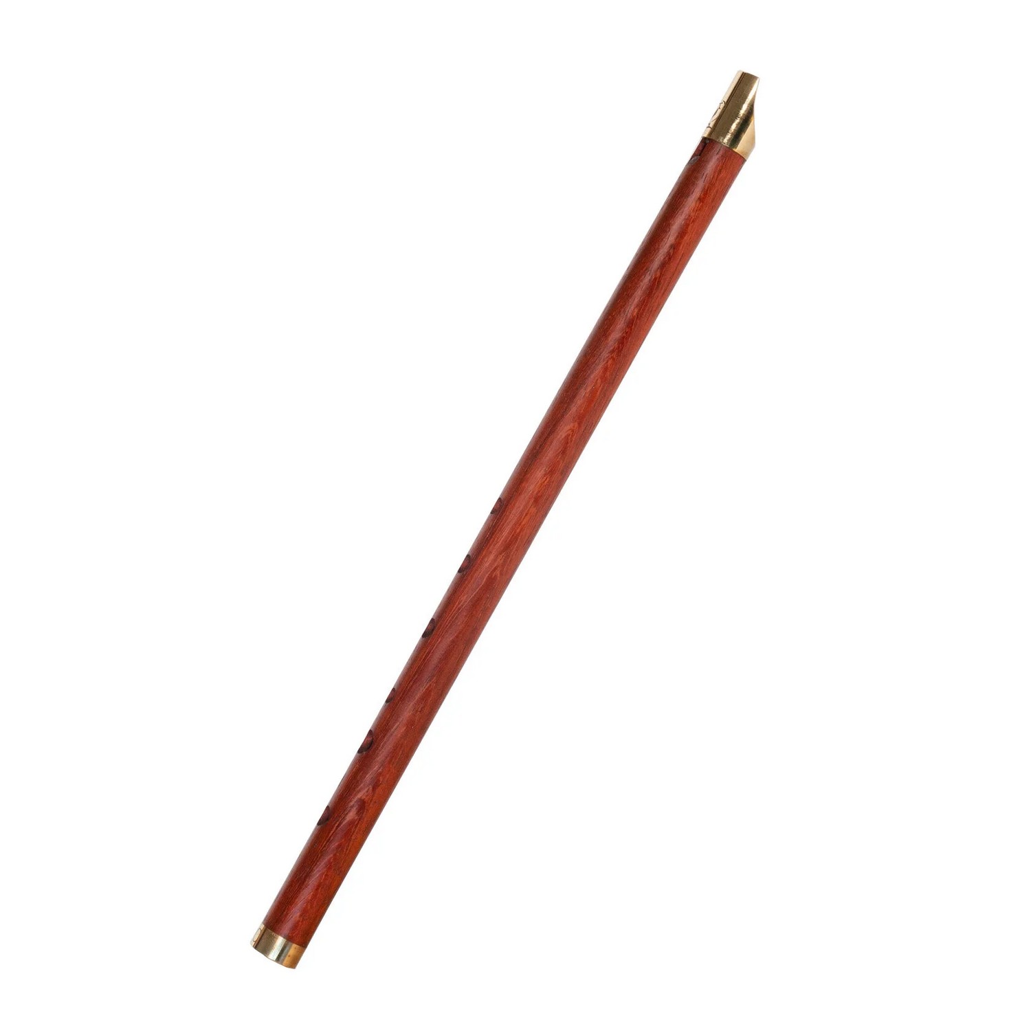 Вистл iVolga VC-02