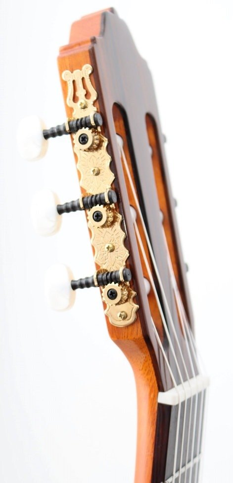 Электроклассическая гитара Esteve 7CE SP