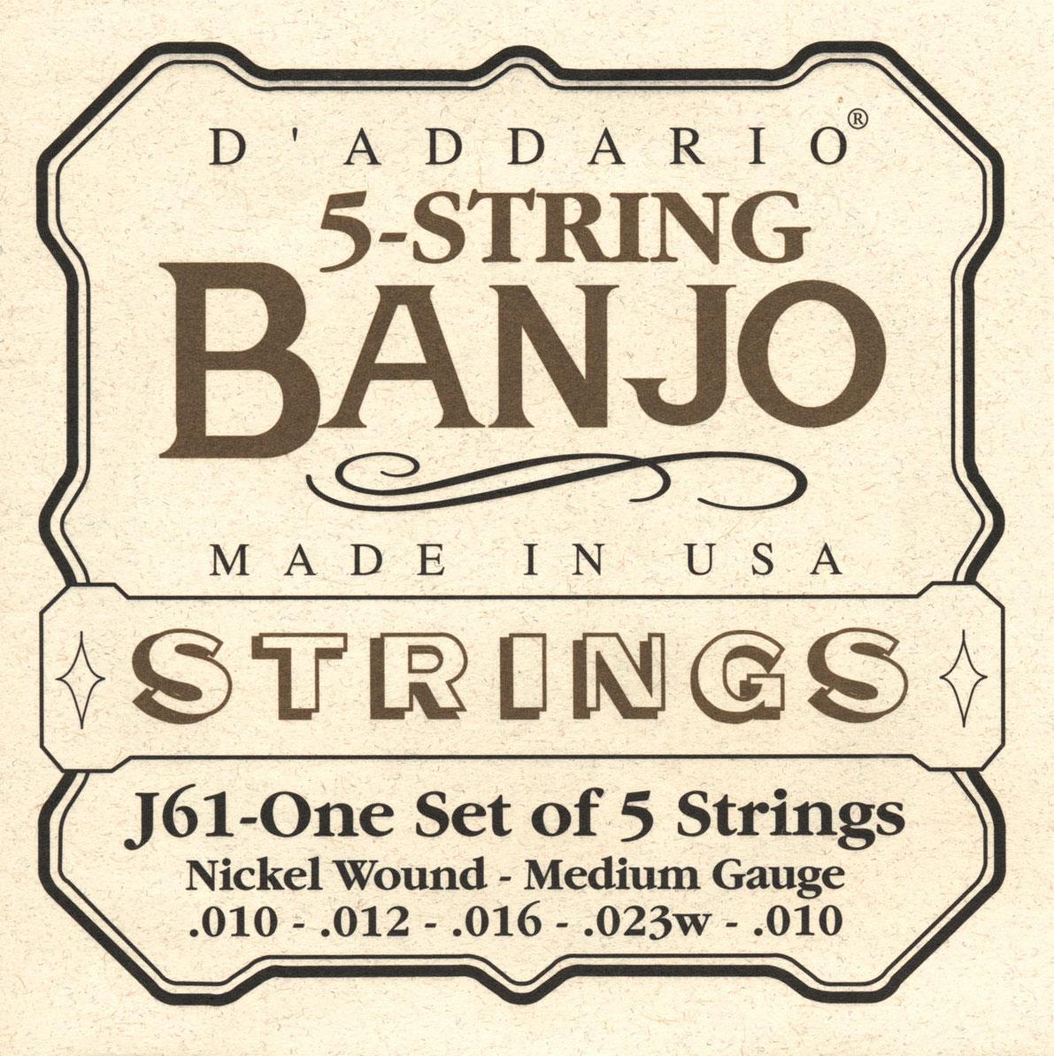 Струны для банджо D'Addario J61