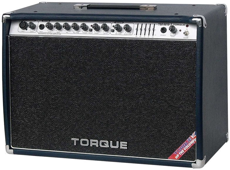 Комбоусилитель для акустической гитары Torque TGA6010-2