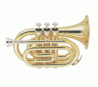 Труба мини Boston TM-250G