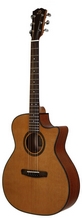 Акустическая гитара Dowina GAC 555