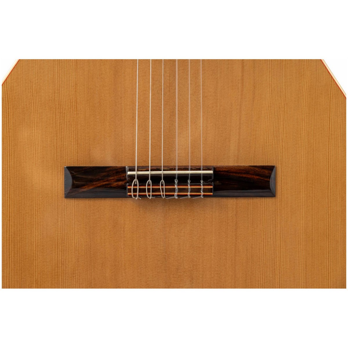 Классическая гитара ALTAMIRA N100+