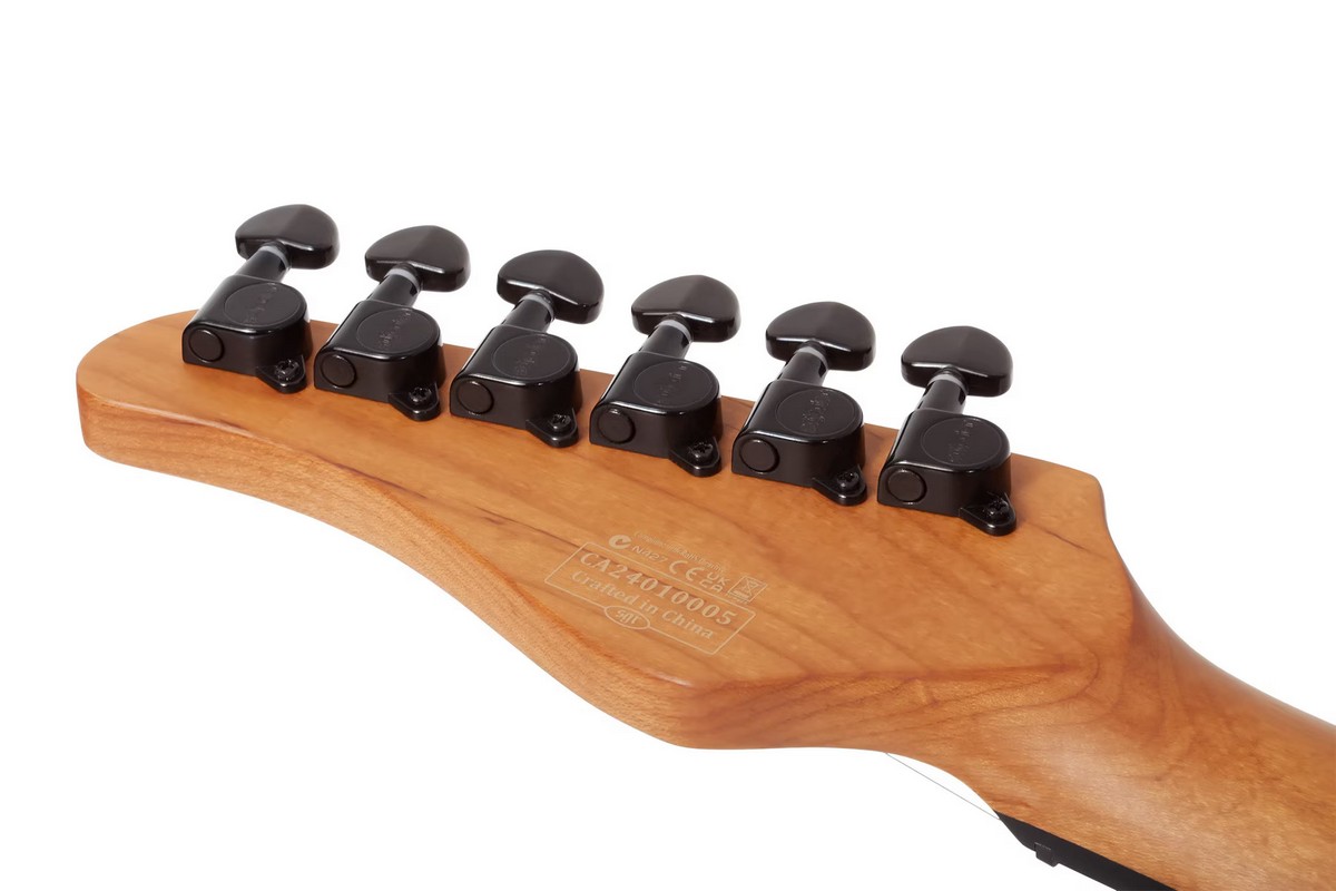 Электрогитара Schecter PT STANDARD BFBB