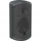 Громкоговоритель Turbosound  TCI52-T