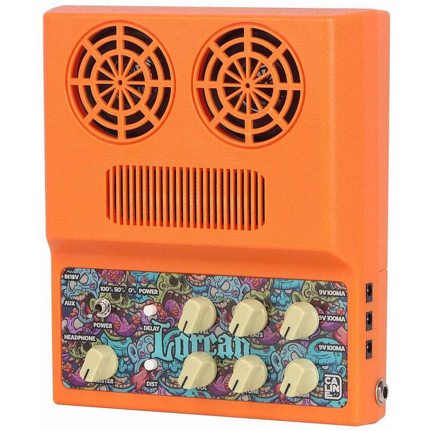 Комбоусилитель CALINE CA-100G